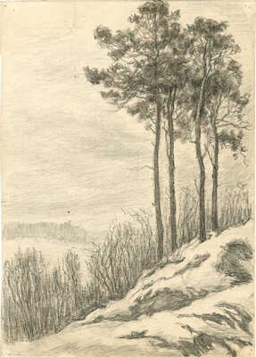 Морозов Константин Феофанович. Пейзаж с соснами 